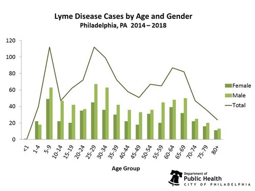 Age_Gender_Graph_2019.jpg