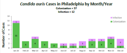 CAurisQ4