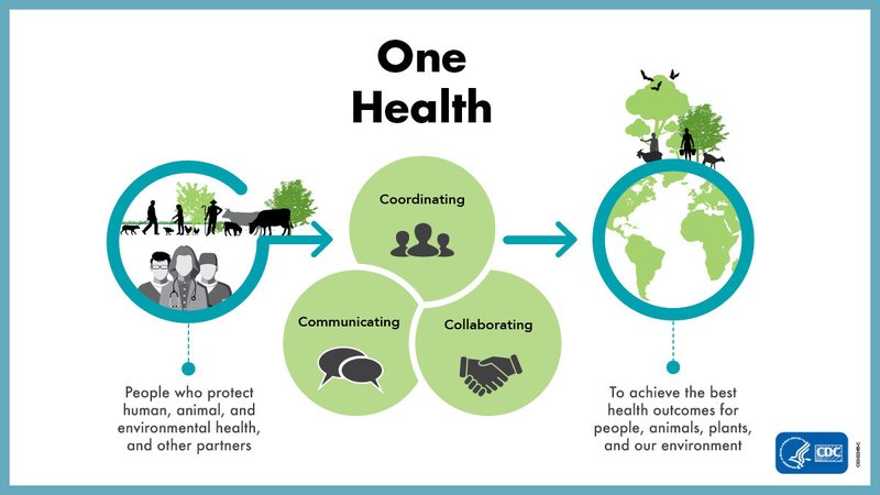 The Foundation of One Health: communication, coordination, and collaboration among human, animal, environmental health, and other relevant partners.