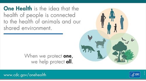 CDC_OneHealth.jpg