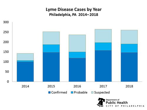 Cases_by_Year_Graph_2019.jpg