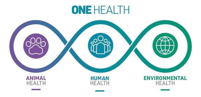 One Health written above 3 twisted circles in relation to the following 3 words: ANIMAL HEALTH, HUMAN HEALTH, and ENVIRONMENTAL HEALTH