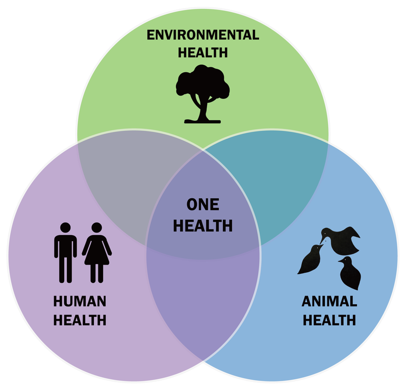 Green circle with the words "ENVIRONMENTAL HEALTH" overlapping blue circle with the words "ANIMAL HEALTH" overlapping purple circle with the words "HUMAN HEALTH". "ONE HEALTH" is written in middle of intersection of the 3 circles.