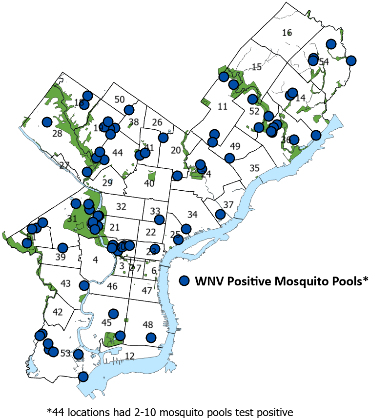 WNV positive Mosquito Pools in Philadelphia for week 40